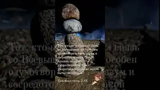 27 января 2024 г.