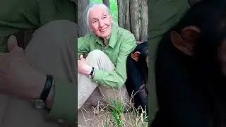 Jane Goodall #mujeres #tecnologia #ciencia #física #destacadas