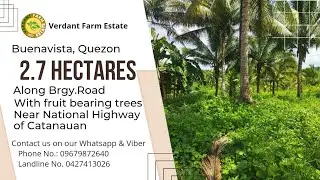 #16A-407 | Along Brgy. Road | With Mother house | With Fruitbearing Trees