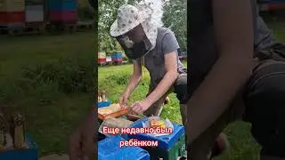 Ну наконец-то,  дождались  22. August 2024