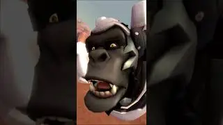 Shock the monkey