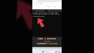 How to Open CMD in a Folder | Windows 11