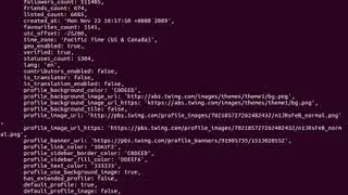 Simple api query with twitter npm package