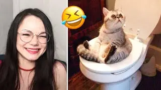 Funniest Cats And Dogs  😸🥰  - Funny Animals Videos 🐶