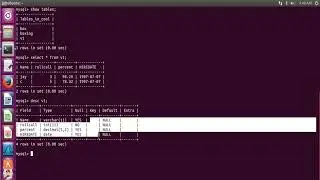 Starting up with MYSQL(Important Basics)