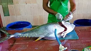 Amazing Tuna Cutting Skills at Male’ City Fish Market (How to cut tuna)