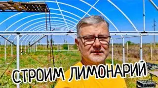 Начало стройки лимонария. Большая теплица для лимонов. Питомник цитрусов.
