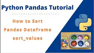 #9 How to Sort Python Panda DataFrame Values in Ascending or Descending Order