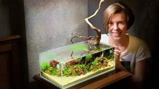 STARTING of the nanoAQUARIUM 17 L | AQUASCAPE