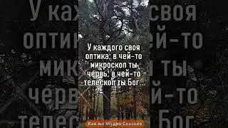 В каком возрасте женщина понимает, что лучше быть одной? 