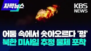 어둠 속에서 솟아오르다 '펑'…북한 미사일 추정 물체 포착 / KBS 2024.05.28.