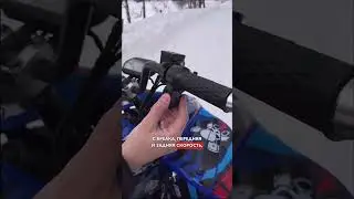 Электроквадроцикл для души ECO SUFA, эксклюзив от EcoMoto 😍
