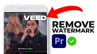 How to Remove Veed.io Watermark in Adobe Premiere Pro