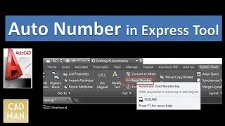 Auto Number in Express Tools