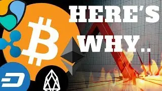 BITCOIN & CRYPTO JANUARY MARKET CRASH EXPLAINED 2018