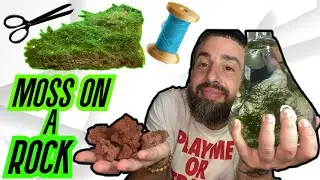 HOW TO PLANT MOSS ON LAVA ROCK (JAVA MOSS, CHRISTMAS MOSS)