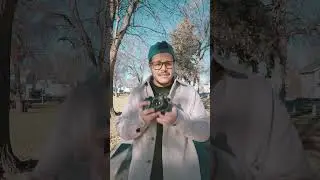 Best Beginner Film Cameras 