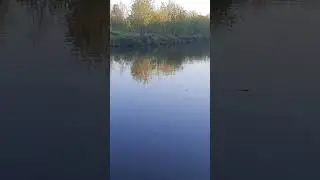 Речка, вечером на речке.