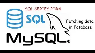 Fetching/Selecting Data from Database using Select || SQL Series P4