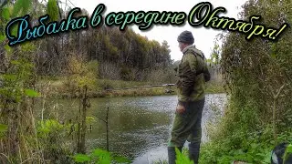 РЫБАЛКА 🐟 НА ПОПЛАВОК! ОСЕННИЕ РЫБЫ ИСПЫТЫВАЮТ ЛЕСКУ НА ПРОЧНОСТЬ. ДАВНО Я ТАК НЕ ЛОВИЛ)