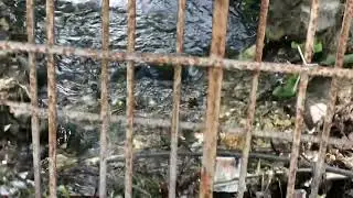 Посреди пляжа - вонючая река: горожанка о «чудесах» Мысхако