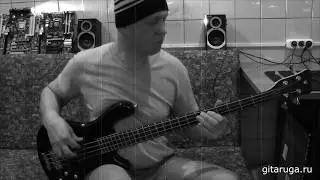 Around the world - RHCP. Bass-cover от Гитарюги