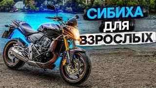 Honda CB600F Hornet - Сибиха для взрослых 