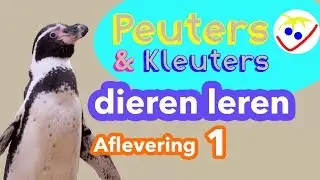 First Words Toddlers - Learn Animals in Dutch