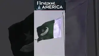 Rats Take Over Pakistans Parliament | Firstpost America | Subscribe to Firstpost