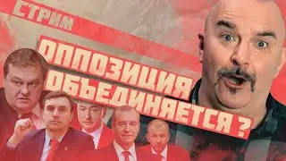 ОБЪЕДИНЕНИЕ ОППОЗИЦИИ | ВЫБОРЫ 2024 | КЛИМ ЖУКОВ И ТРИБУН