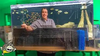 DIY Aquarium Sump Filter