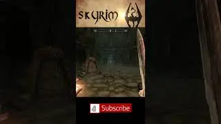 #Skyrim Move Lydia MOVE!  #gaming #skyrimroleplay #skyrimmemes #gameplay #funny #roleplay