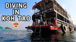 DIVING IN KOH TAO! (Full Experience) Getting certified with PADI and Ocean Sound Dive + Yoga!