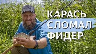 КАК и ГДЕ поймать КАРАСЯ ОСЕНЬЮ? Место решает! БЕШЕННЫЙ КЛЁВ!