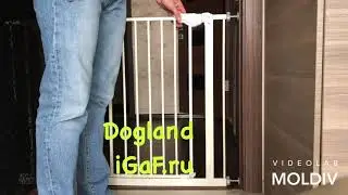 Ворота безопасности для детей и собак  Dogland DG011