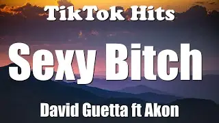 David Guetta ft Akon - Sexy Bitch (Lyrics) - TikTok Hits