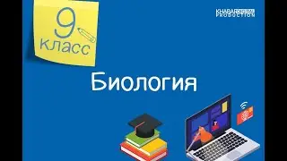 Биология. 9 класс. Строение и функции нефрона. Ультрафильтрация