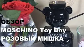 Обзор MOSCHINO Toy Boy По-настоящему розовый мишка