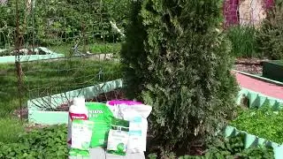 Удобрения на весь период вегетации растений