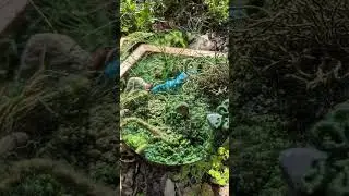 A Place to Breathe | moss embroidery