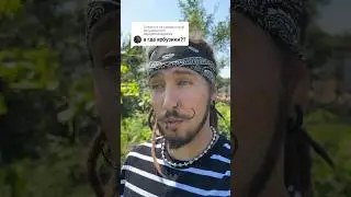 А где Арбуз???