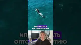 #бизнесидеи #поставщик #aliexpressкитай #экспорт #фабрикикитая #бизнес