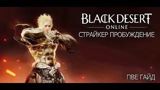 Black Desert Страйкер пробуждение (ПВЕ ГАЙД)