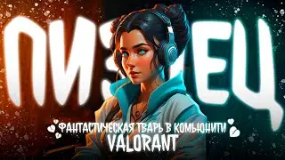 E GIRL - ПРОБЛЕМА КОМЬЮНИТИ VALORANT