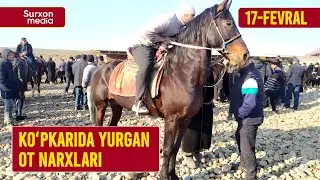 17-fevral, Koʻpkarida yurgan ot narxlari • Surxondaryo, Sariosiyo payshanba ot bozori narxlari