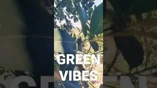 Feel more relax with NATURE🌳  