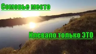 Разведка места на сома,КАК?Опять она?