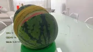 공약으로 고무줄로 수박깨기를 하는 누눙지 | Blue Jump 合格公約:ゴムひもでスイカ割り