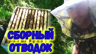 СБОРНЫЙ ОТВОДОК