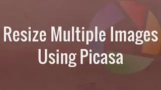 Easily Resize Multiple Images Using Picasa